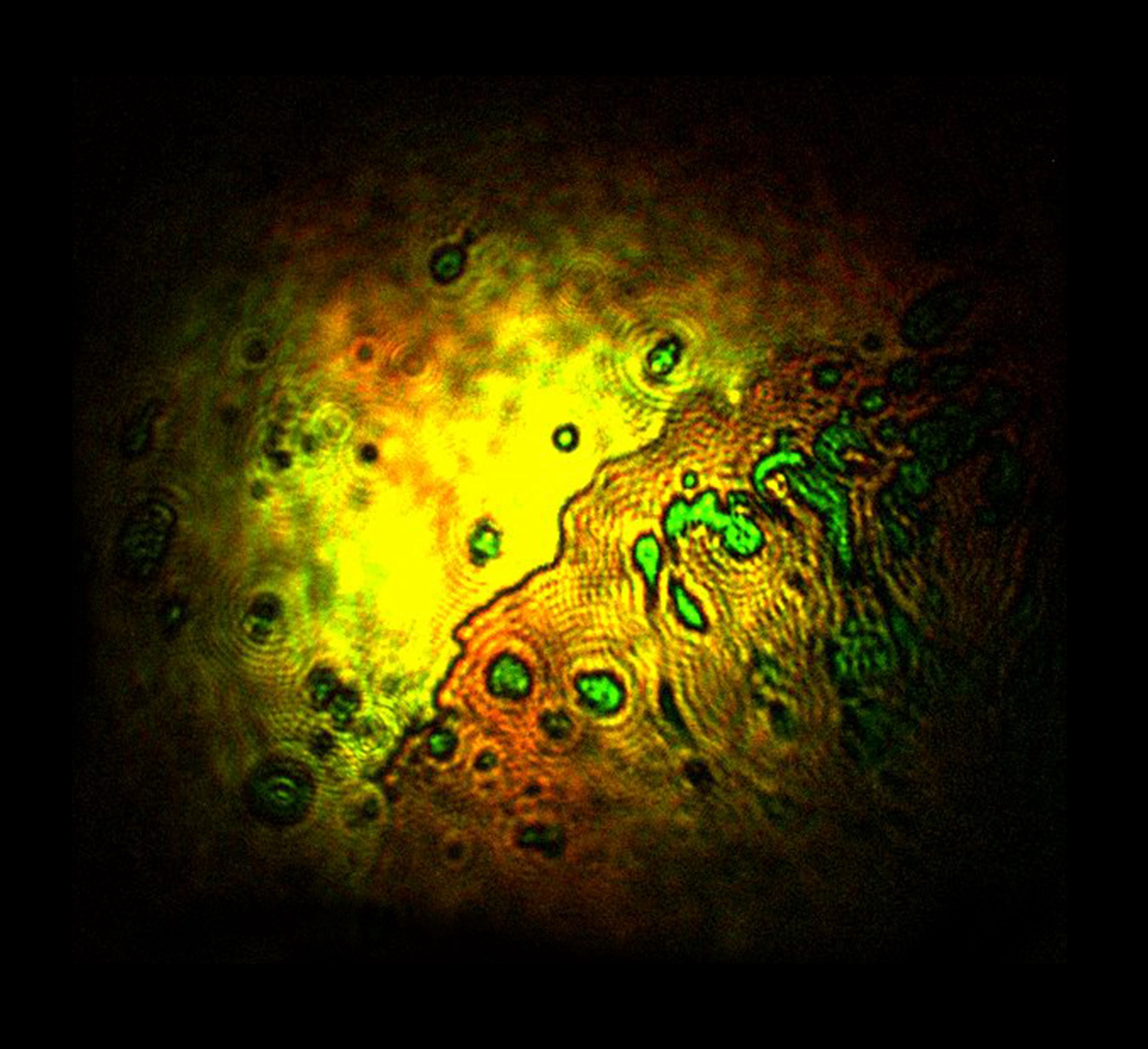 UC Irvine scientists create new chemical imaging method UCI